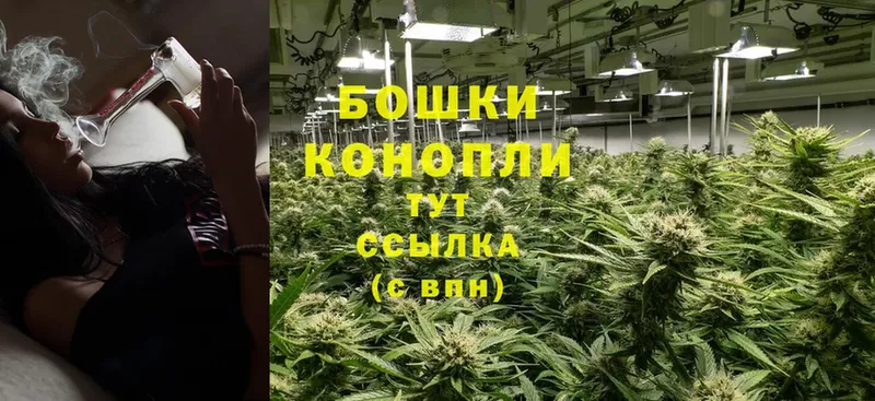 наркотики  Качканар  Конопля THC 21% 